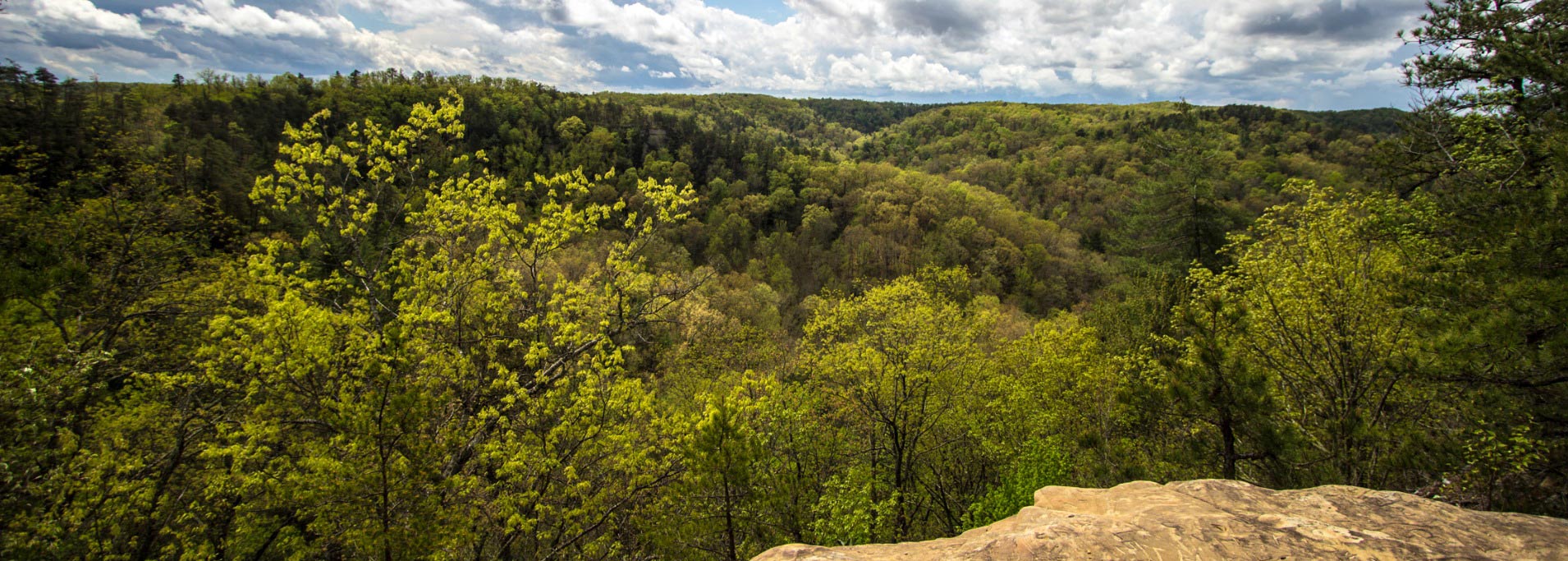panoramic-view-from-the-natural-bridge-in-kentucky-picture-id524911810